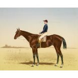 Pferde - - Sammlung von 180 Druckgraphiken mit Pferdedarstellungen. Überwiegend 19. Jh. Eng