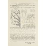 Botanik - Mykologie - - Giovanni Briosi u. Fridiano Cavara. I funghi parassiti delle