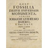 Geologie - Fossilien - - Johann