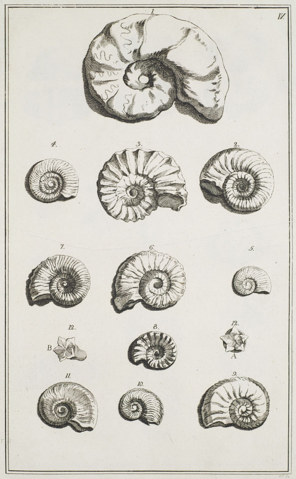 Geologie - Mineralogie - Fossilien - - - Bild 4 aus 4