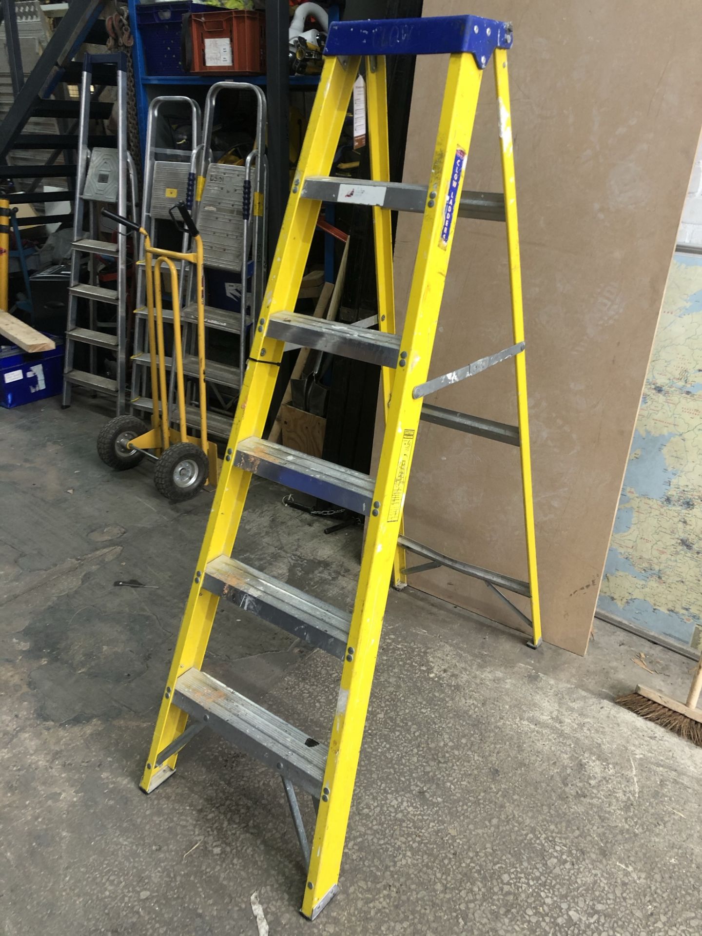 Werner Clow 6 Tread Step Ladder