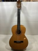 Leonora Guitars 6-String Acoustic Guitar