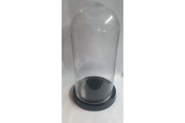 2 x Large Glass Domes with Ceramic Base