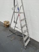 Werner W085410 6 Tread Swingback Step Ladder