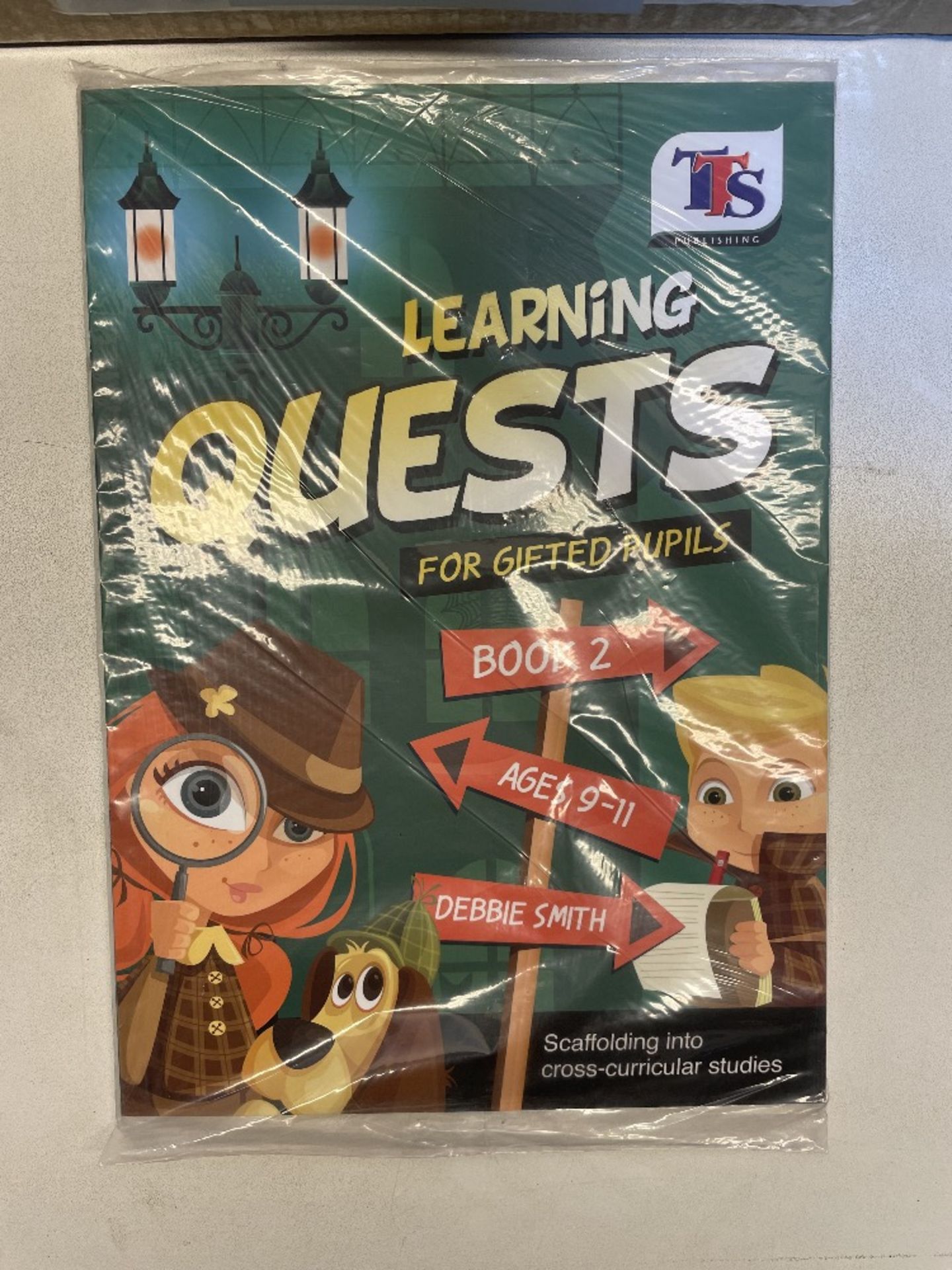 Approximately 355 x TTS Publishing PB00130 Age 9-11 'Learning Quests for Gifted Pupils' Book 2 Textb - Image 3 of 4
