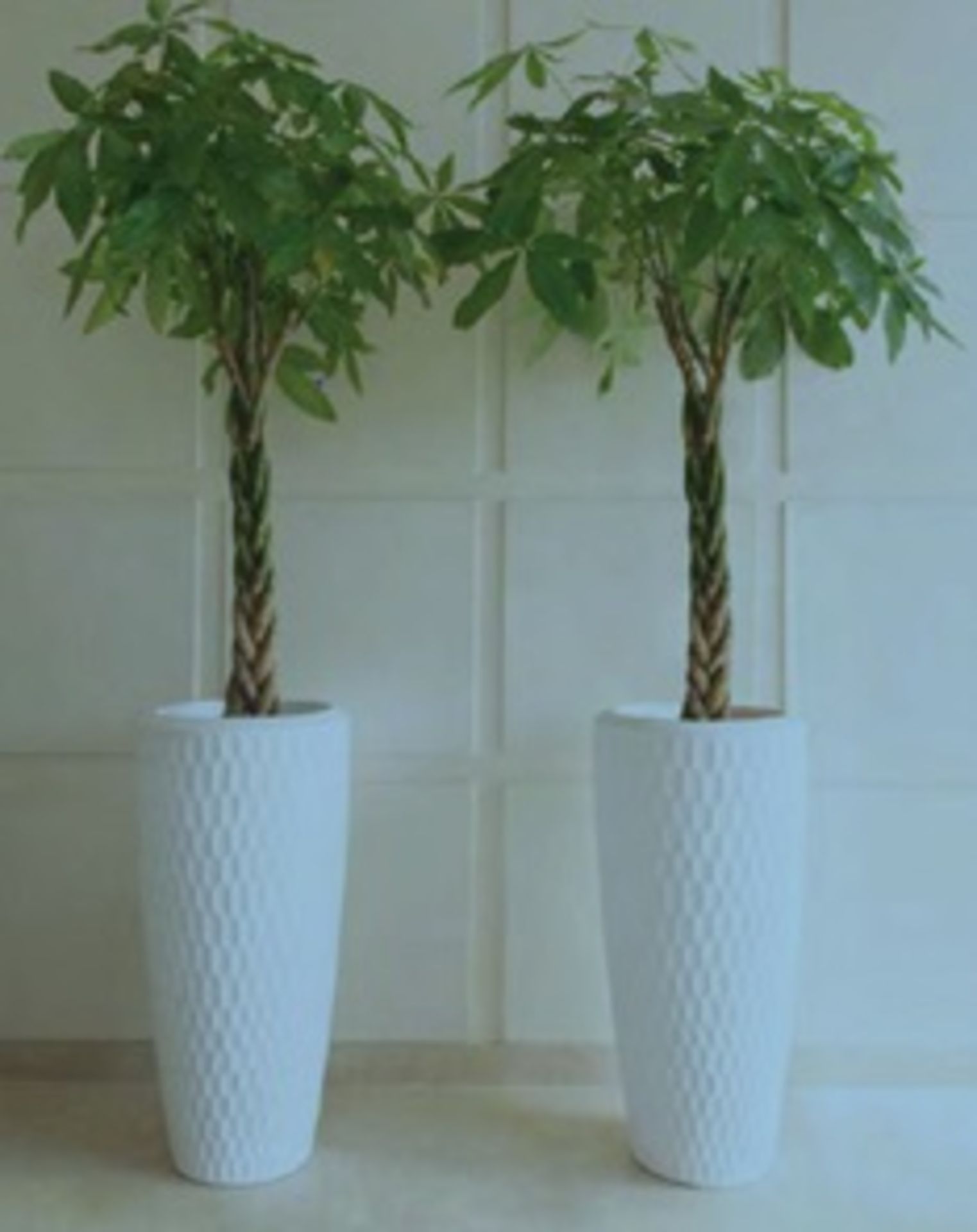 Ex-Display Chiara Slim Exotic White Stone w/LED Light Planter | 66x140cm