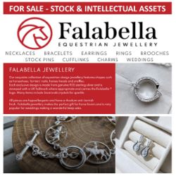 EQUINE BUSINESS OPPORTUNITY | Stock, Customer/Supplier List, Website/Domain Name of Falabella Silver Equine Jewellers - Stock Cost Price £63,038