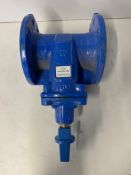 Erhard DN-100 Res Gate Valve