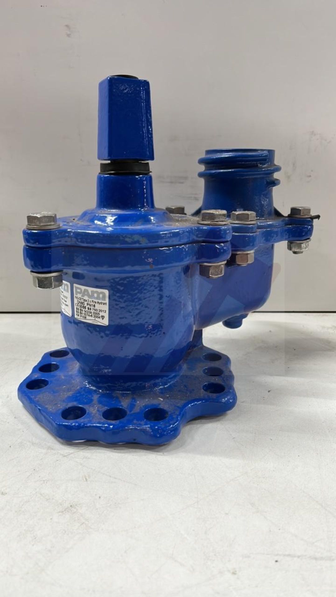 Pam FH2-CE Type 2c Fire Hydrant