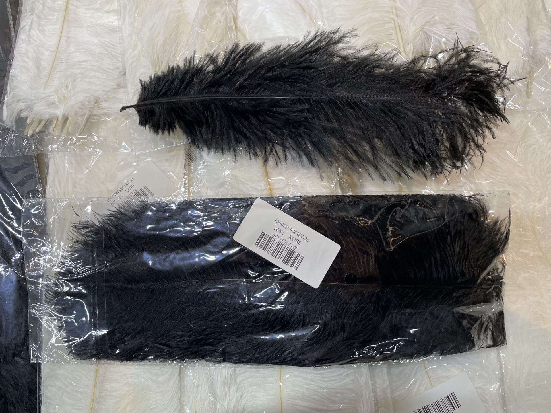 46 x Packs of Black & Cream Feathers (10per pack) - Image 3 of 5