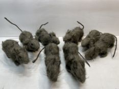 8 x Furry Rat Props