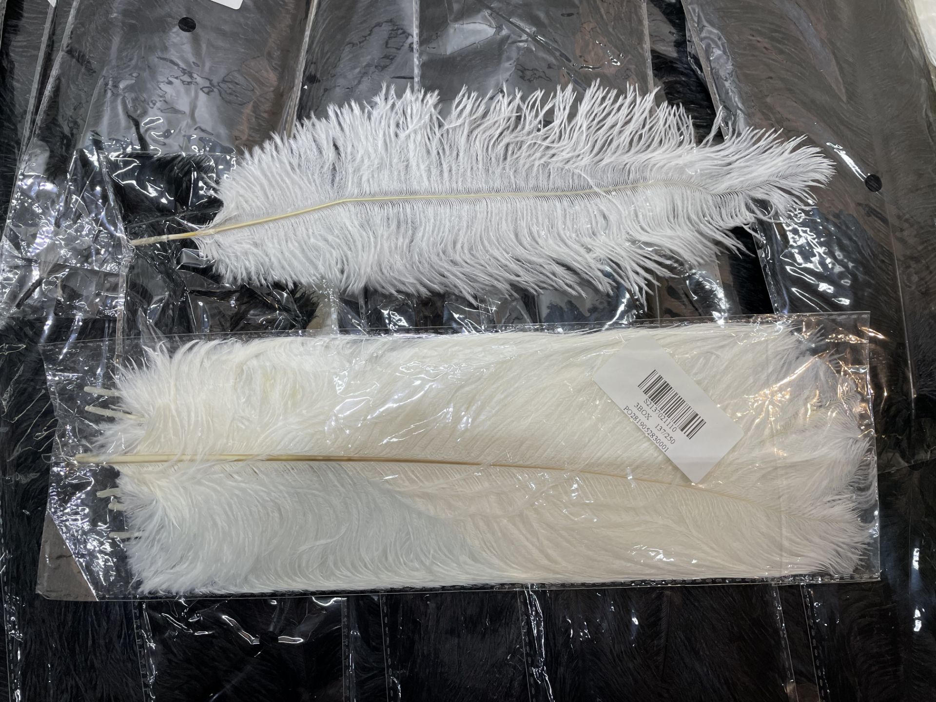 46 x Packs of Black & Cream Feathers (10per pack) - Image 4 of 5