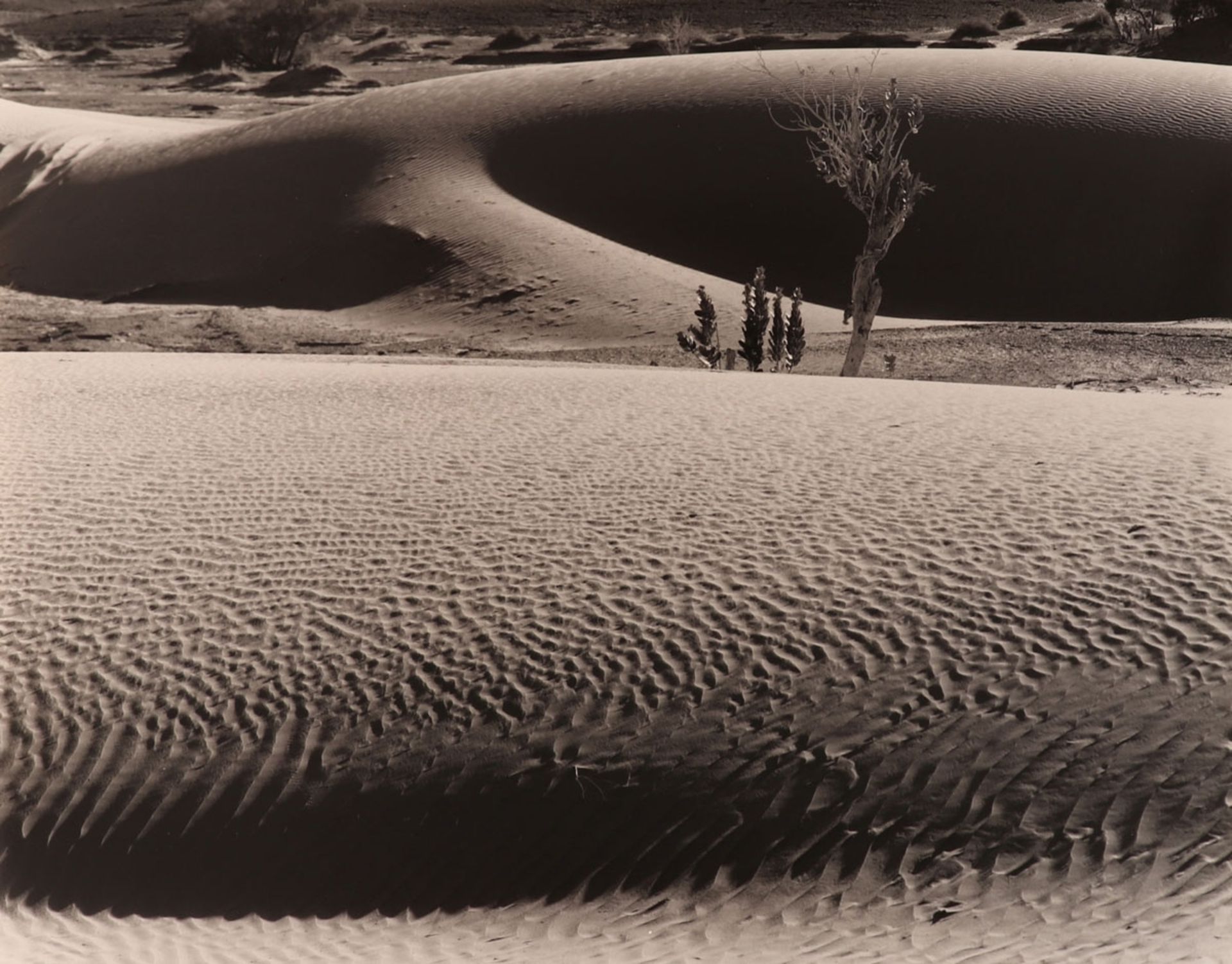 Jochen Knobloch1941 Dresden - lebt in Hamburg - "Sahara, Tunesien" - Schwarz-Weiß Print/Bary