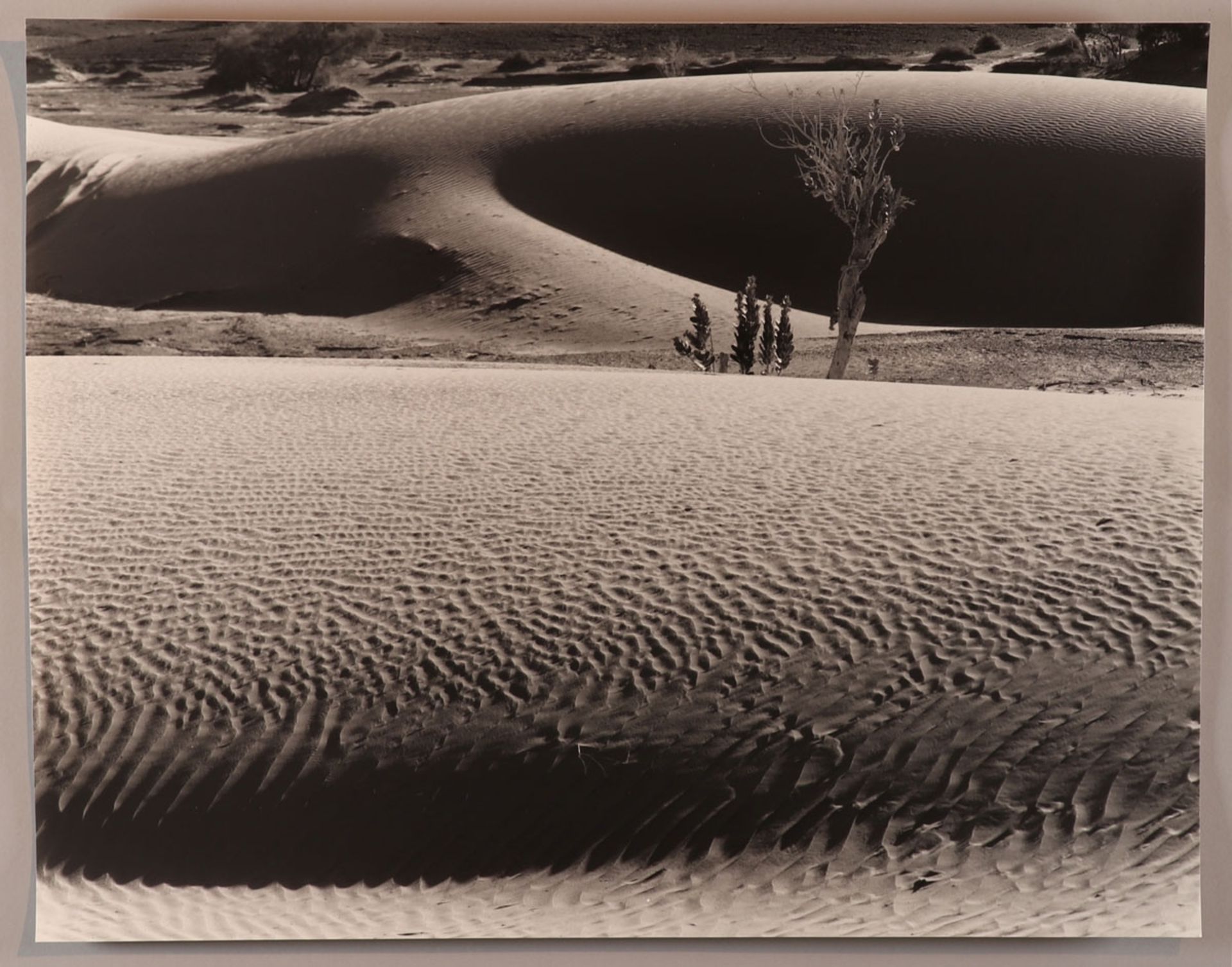 Jochen Knobloch1941 Dresden - lebt in Hamburg - "Sahara, Tunesien" - Schwarz-Weiß Print/Bary - Image 2 of 2