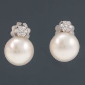 Paar Perlen-Ohrstecker mit Brillanten 750/- Weißgold, gestemp. Gewicht: 5,8 g. 2 Zuchtperlen