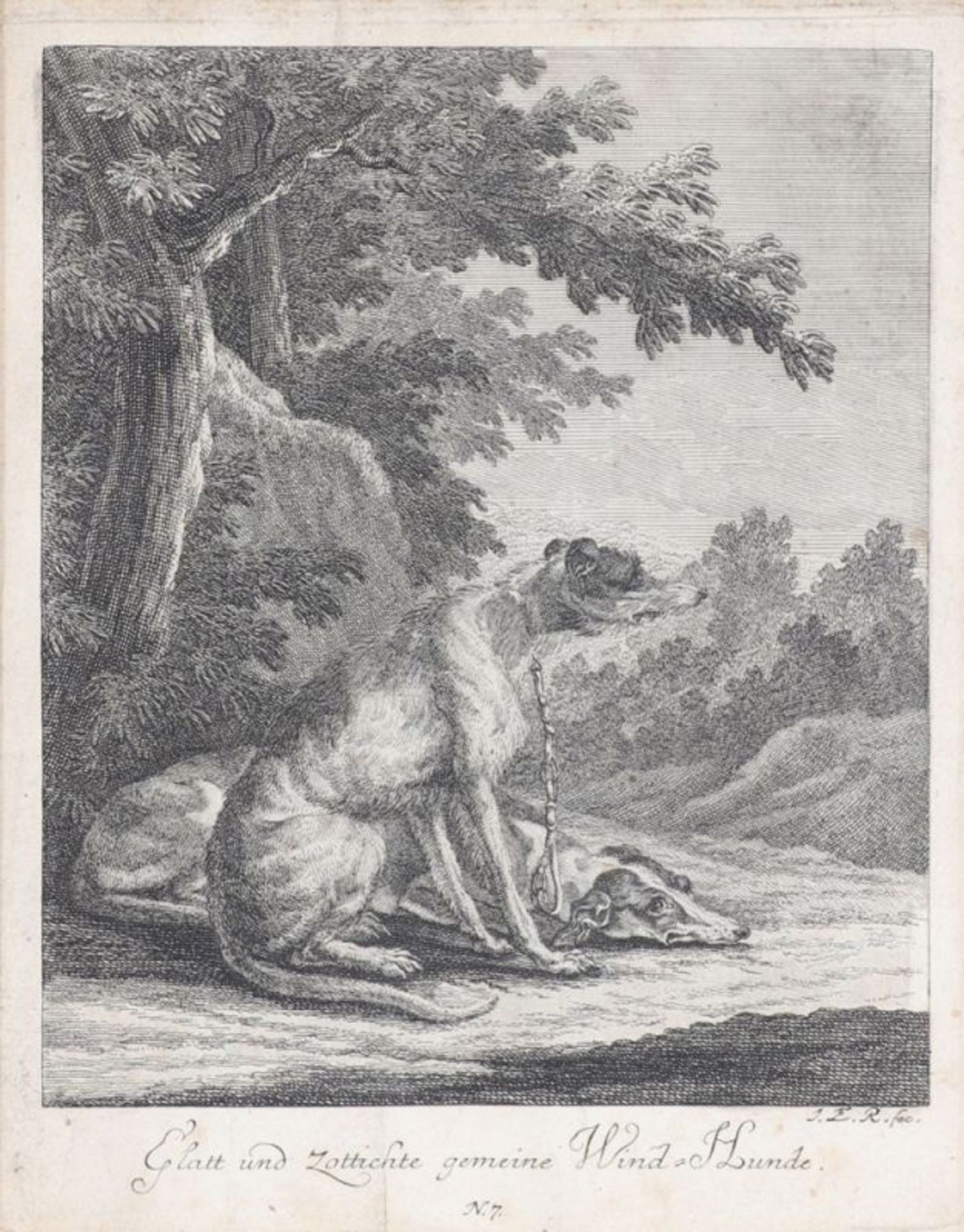 Johann Elias Ridinger 1698 Ulm - 1767 - Bild 2 aus 9