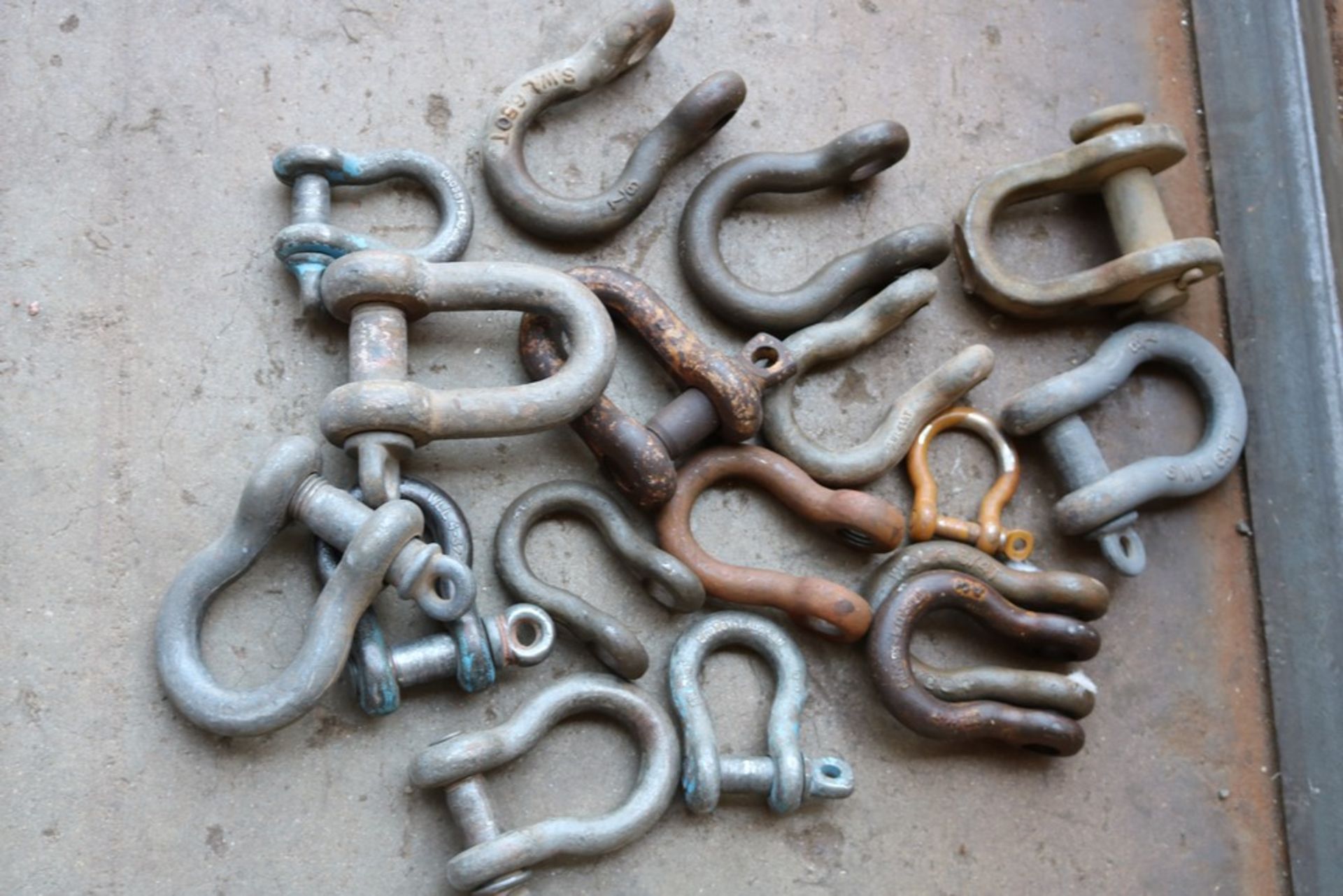 medium sized anchor shackles