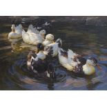 Alexander Koester - Enten in Morgensonne (Enten in blauem Wasser) - Öl auf Leinwand - 1904