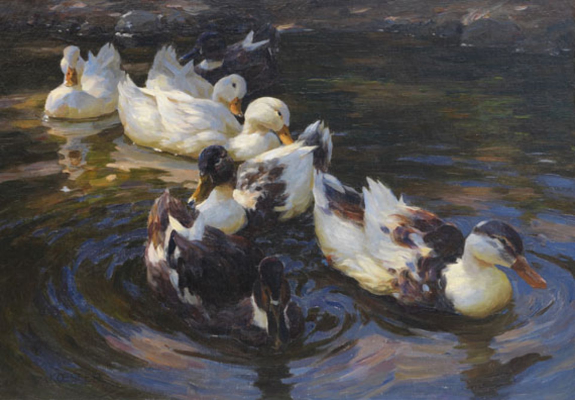 Alexander Koester - Enten in Morgensonne (Enten in blauem Wasser) - Öl auf Leinwand - 1904