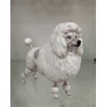 A Royal Doulton model of a French Poodle, shape N