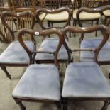A set of five William IV rosewood dining chairs, k