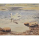 Liz Nimmo, Swan Lake, watercolour, signed, 26cm x