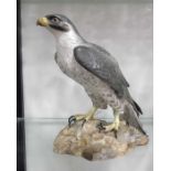 A Royal Crown Derby model of a Falcon on rockwork