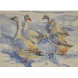 Rosie Villiers-Stuart, White Geese, watercolour, s