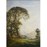William K. Bowen, Tree in Landscape, oil on canvas