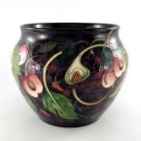 Emma Bossons for Moorcroft, a large Queens Choice vase