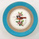 John Hopewell (attributed) for Royal Worcester, a bird painted cabinet plate, within sky blue border