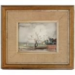 Gunnar Berglund (1906-1992), Tree in Landscape, watercolour, signed, 14cm x 18cm, framed