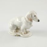 Dorothea Moldenhauer for Rosenthal, a blanc de chine painted figure of a dachshund