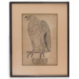 Chinese or Japanese School, 18th/19th Century, study of a falcon in profile, monochrome watercolour,