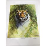 David Shepherd CBE, FRSA, FGRA (British, 1931 - 2017) Portrait of a tiger, signed L.R, No.39/200, co