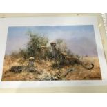 David Shepherd CBE, FRSA, FGRA (British, 1931 - 2017) Cheetah, signed L.R, No.147/350, colour print,