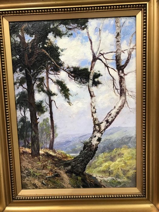N. Peach, Trees in Landscape, oil on canvas laid on board, signed, 38cm x 28cm, framed