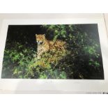 David Shepherd CBE, FRSA, FGRA (British, 1931 - 2017) Jaguar signed L.R, No.202/850, colour print, 4