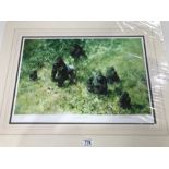 David Shepherd CBE, FRSA, FGRA (British, 1931 - 2017) Lowland gorillas, signed L.R, No.206/350, colo