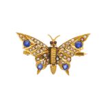 An early 20th century gold, sapphire and split pearl butterfly brooch