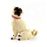 A 20th Century Meissen pug dog, modelled seated wearing a pink collar