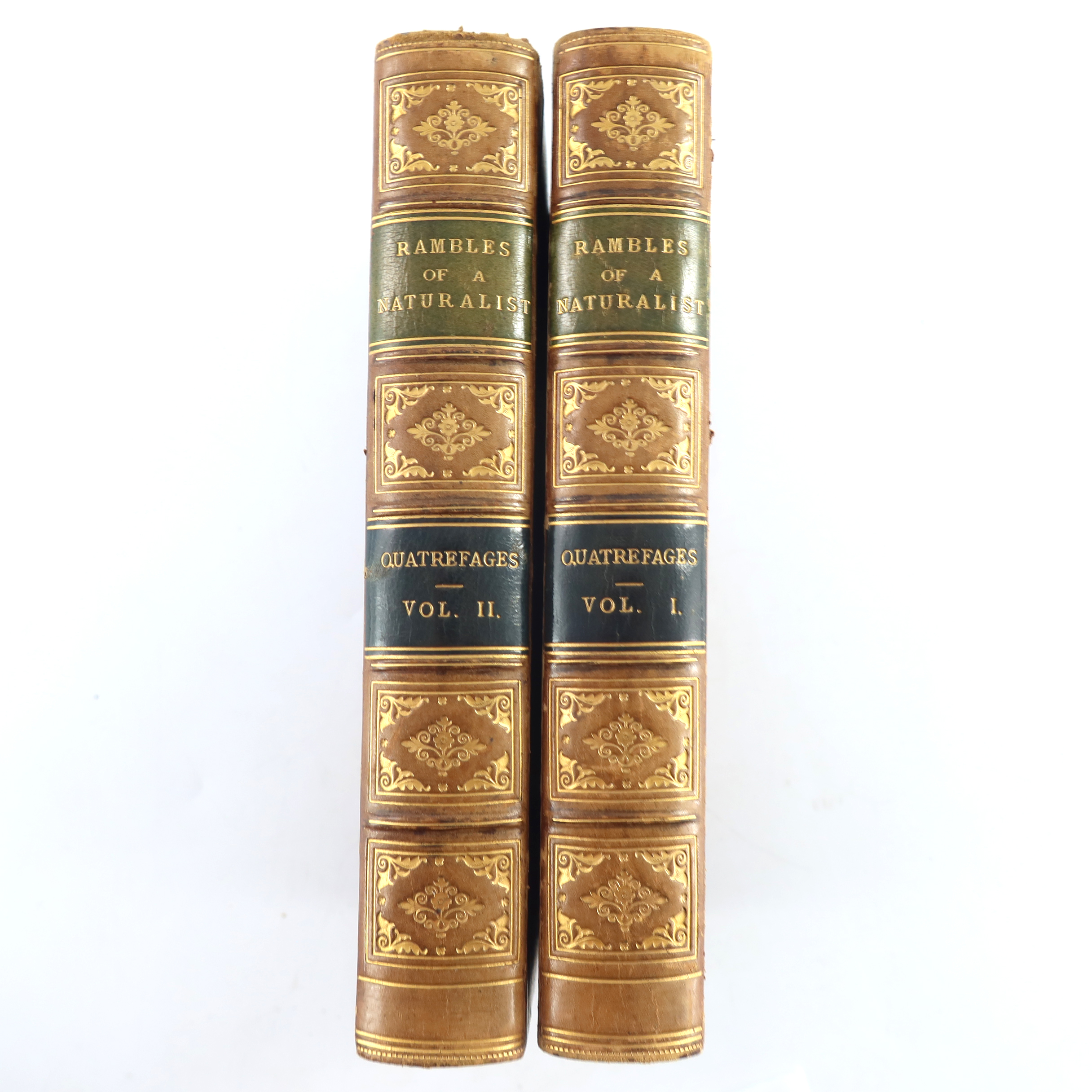 A. De Quatrefages, The Rambles of a Naturalist on the Coasts of France, Spain & Sicily, 1857,
