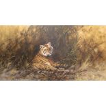 Tony Forrest (British, b.1961), Tiger in the Shade, signed l.l, oil on canvas, 40 by 75cm, framed