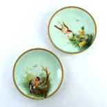 A pair of Royal Worcester cabinet plates decorated with birds and chicks in the Aesthetic manner (