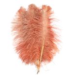 A large feather fan, early 20th century, salmon pink Ostrich feathers mounted on two pale resin or p