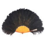 A large black ostrich feather fan, 1890 - 1900, the monture blond tortoiseshell or resin, including