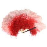 A vibrant ostrich feather fan in shades of red to pale pink, large frothy feathers mounted on plasti