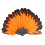 A tortoiseshell and feather fan mounted in fontange form, the feathers dyed a vibrant orange and tip