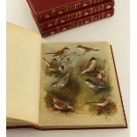Archibald Thorburn, British Birds, 1915/6, in four