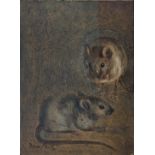 Early 20th century British School, a study of two rats, oil on card, indistinctly signed lower left,